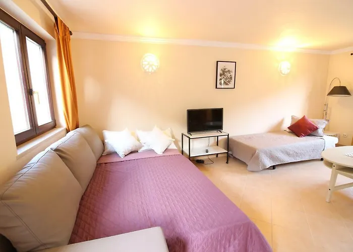 Vale Dos Sentidos 奥德赛克斯